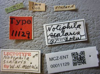 Media type: image;   Entomology 11129 Aspect: labels